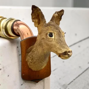 genuine Vintage French Roe Deer Taxidermy Mount On Rustic Wooden Plaque